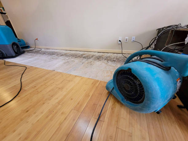 Professional Structural Drying technician working in Berkeley, MO